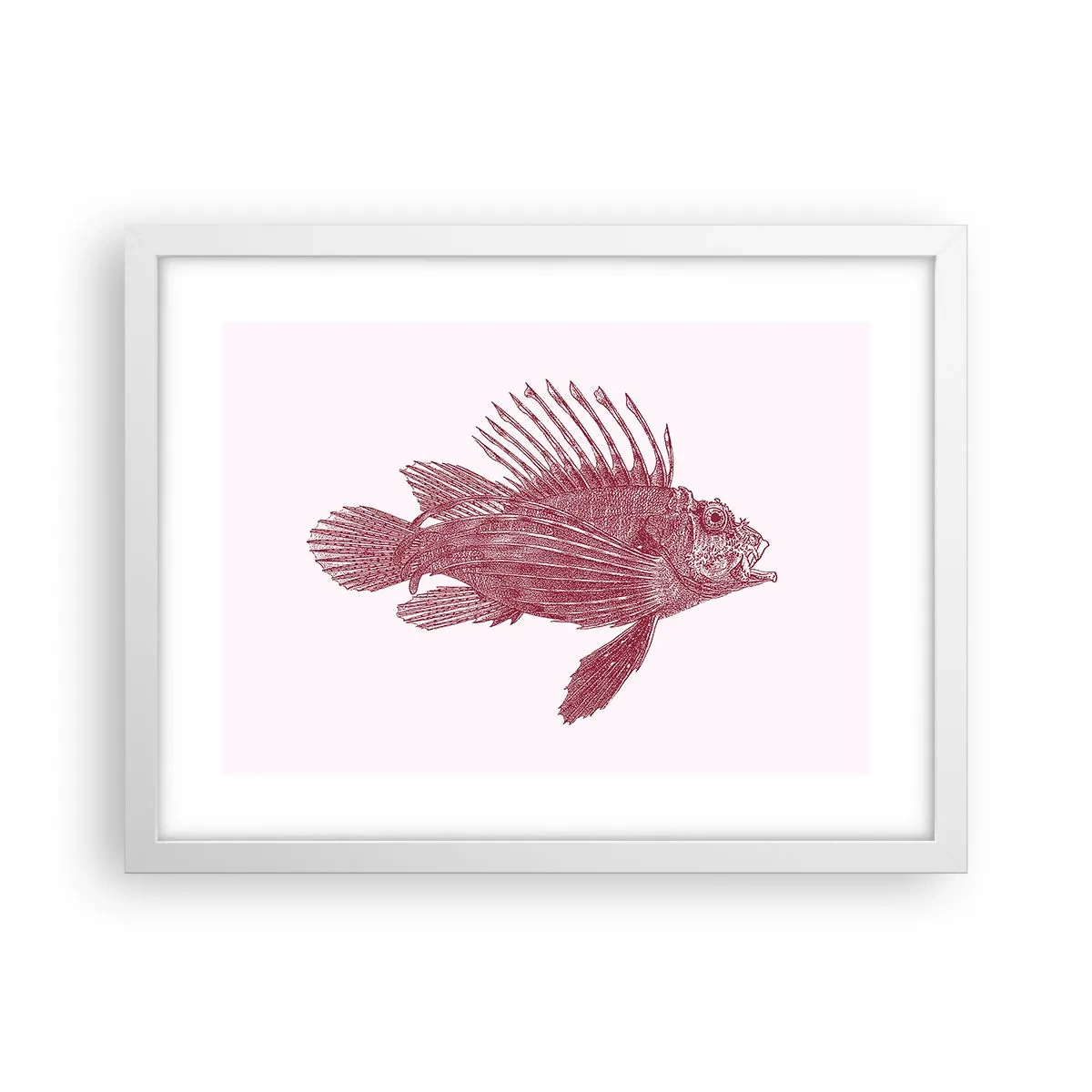 Plakat i hvid ramme - En beboer i eksotiske farvande - 40x30 cm