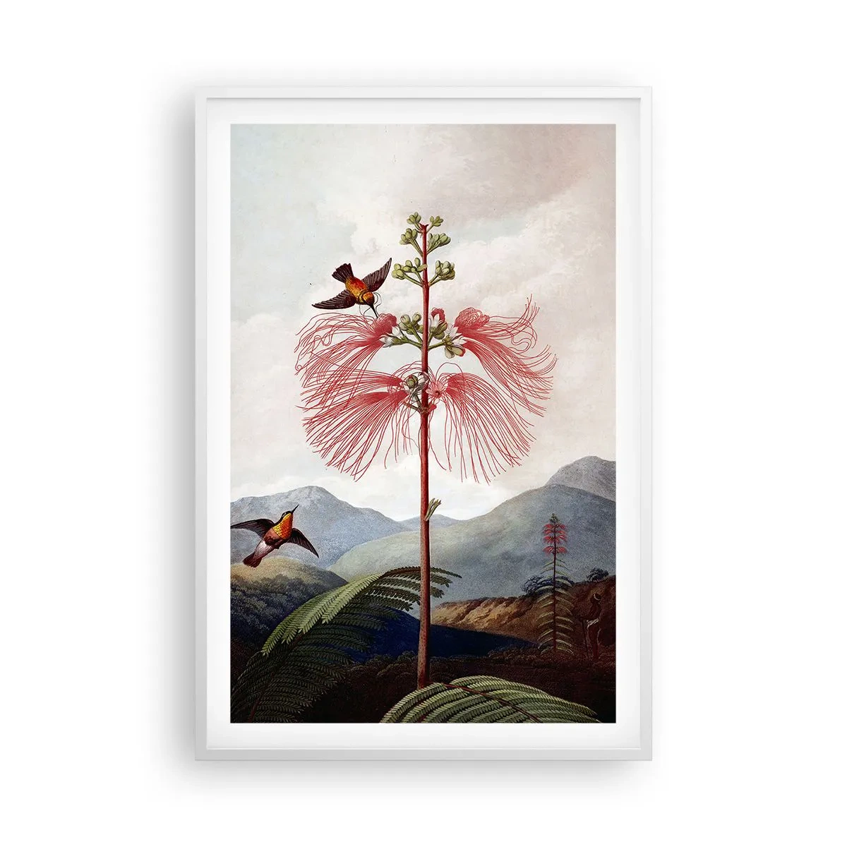 Plakat i hvid ramme - I et tropisk paradis - 61x91 cm