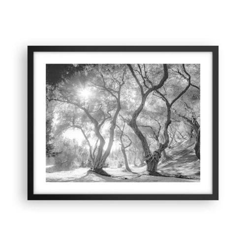 Plakat i sort ramme - I en olivenlund - 50x40 cm