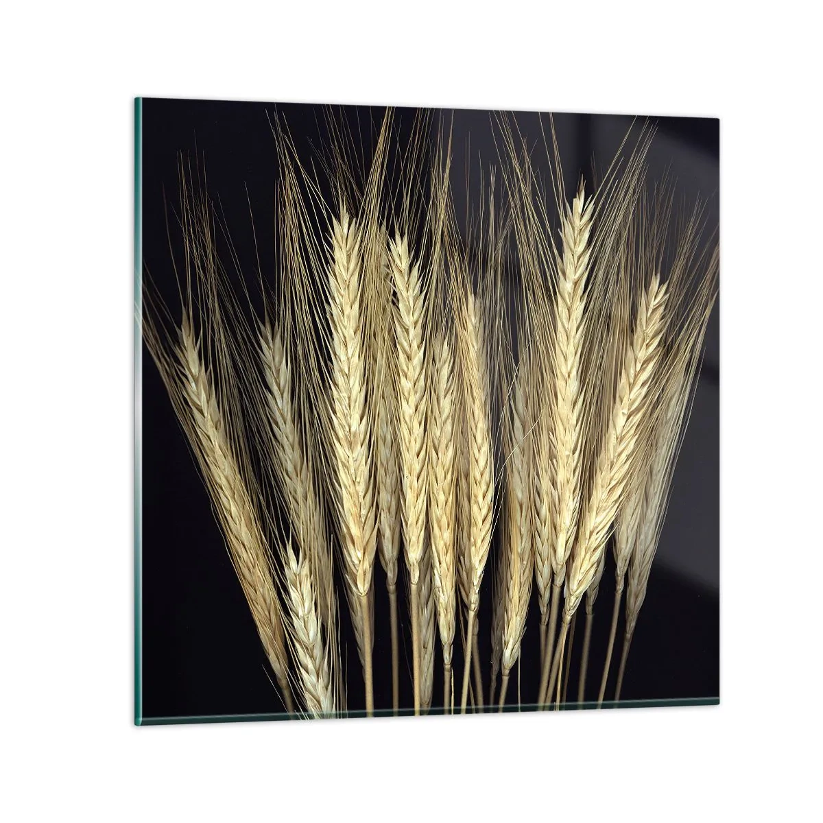 Billede på glas - Rustik magi - 40x40 cm