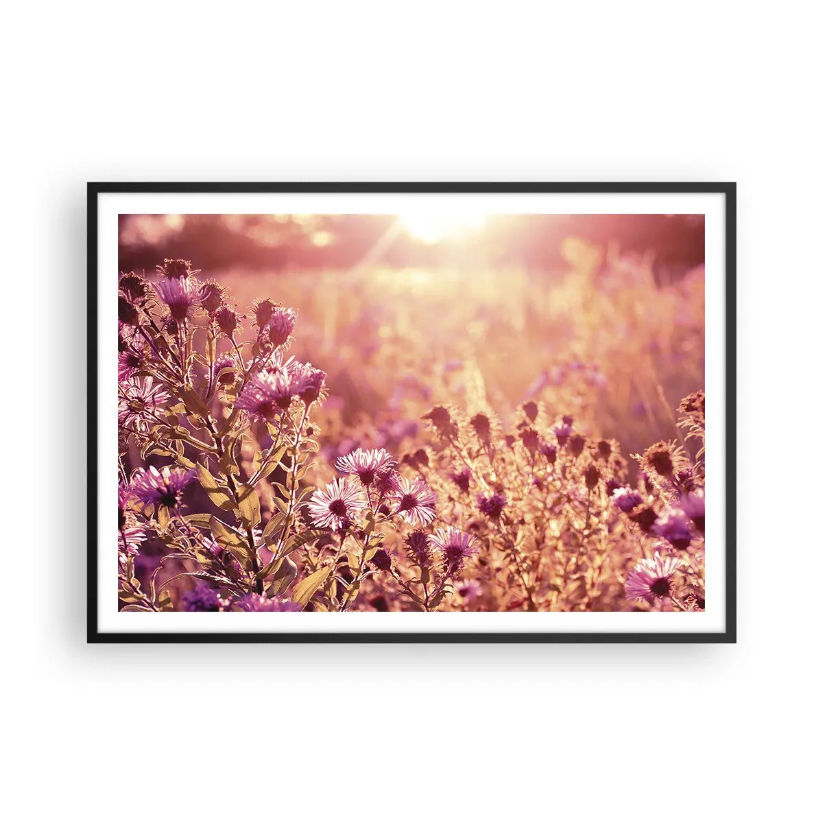 Plakat i sort ramme - Før sommeren er forbi - 100x70 cm