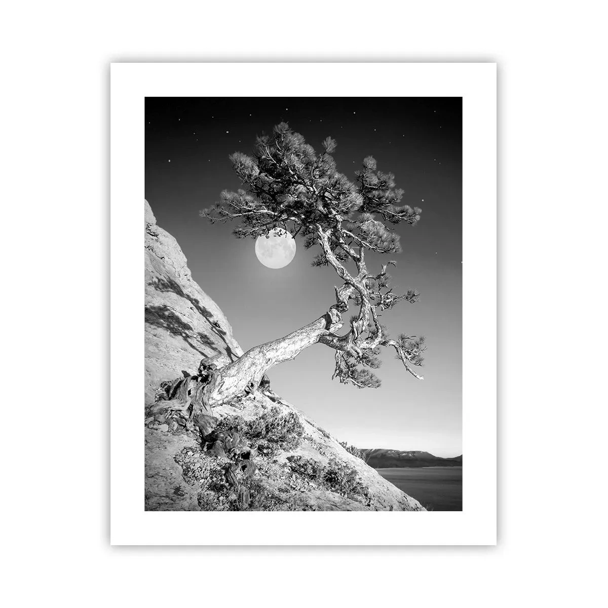 Plakat - Den sejrrige kriger - 40x50 cm