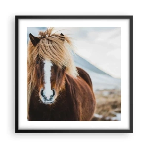 Plakat i sort ramme - Kan du mærke friheden? - 50x50 cm