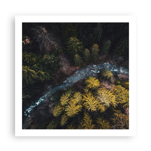 Plakat - Hurtigt, stadig hurtigere - 60x60 cm