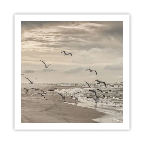 Plakat - Havet brummer, fuglene synger - 60x60 cm