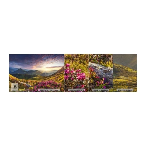 Prøve Fototapet Premium Sand - Friskheden af en morgen i bjergene - Landskab, Bjerge, Blomster - 100x30 cm