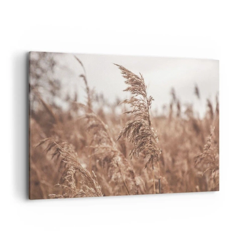 Lærredstryk - Billede på lærred - Efteråret er allerede på markerne - 100x70 cm