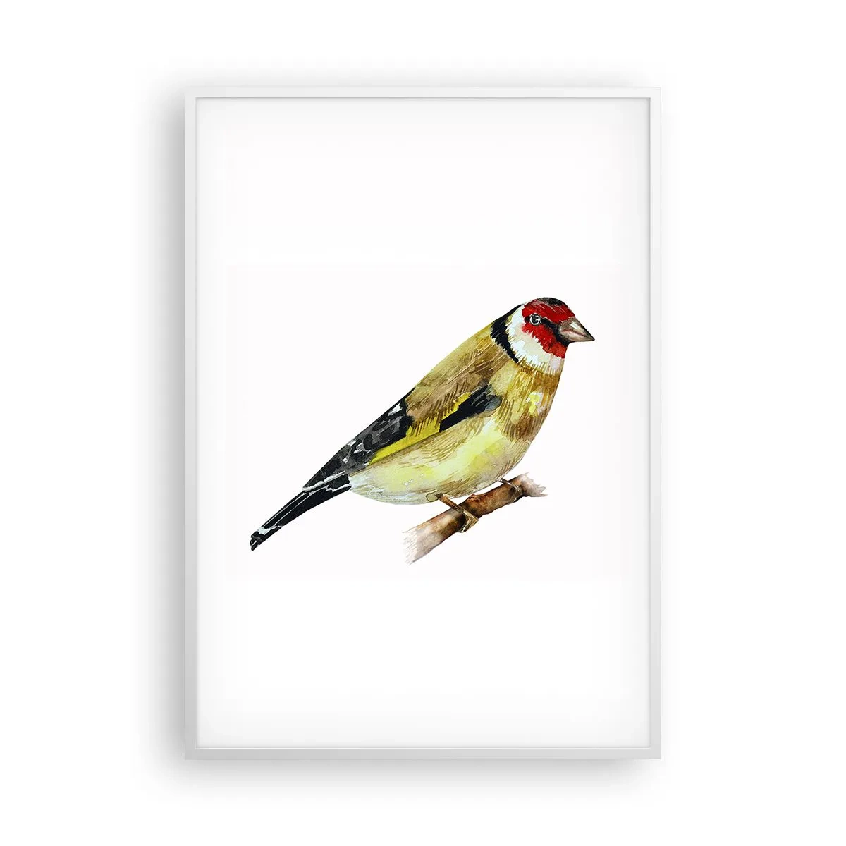 Plakat i hvid ramme - Portræt af en fugl - 70x100 cm