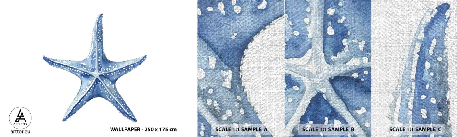 Prøve Fototapet Premium Canvas - Havets stjerne - Søstjerne, Ved havet, koralrev - 100x30 cm