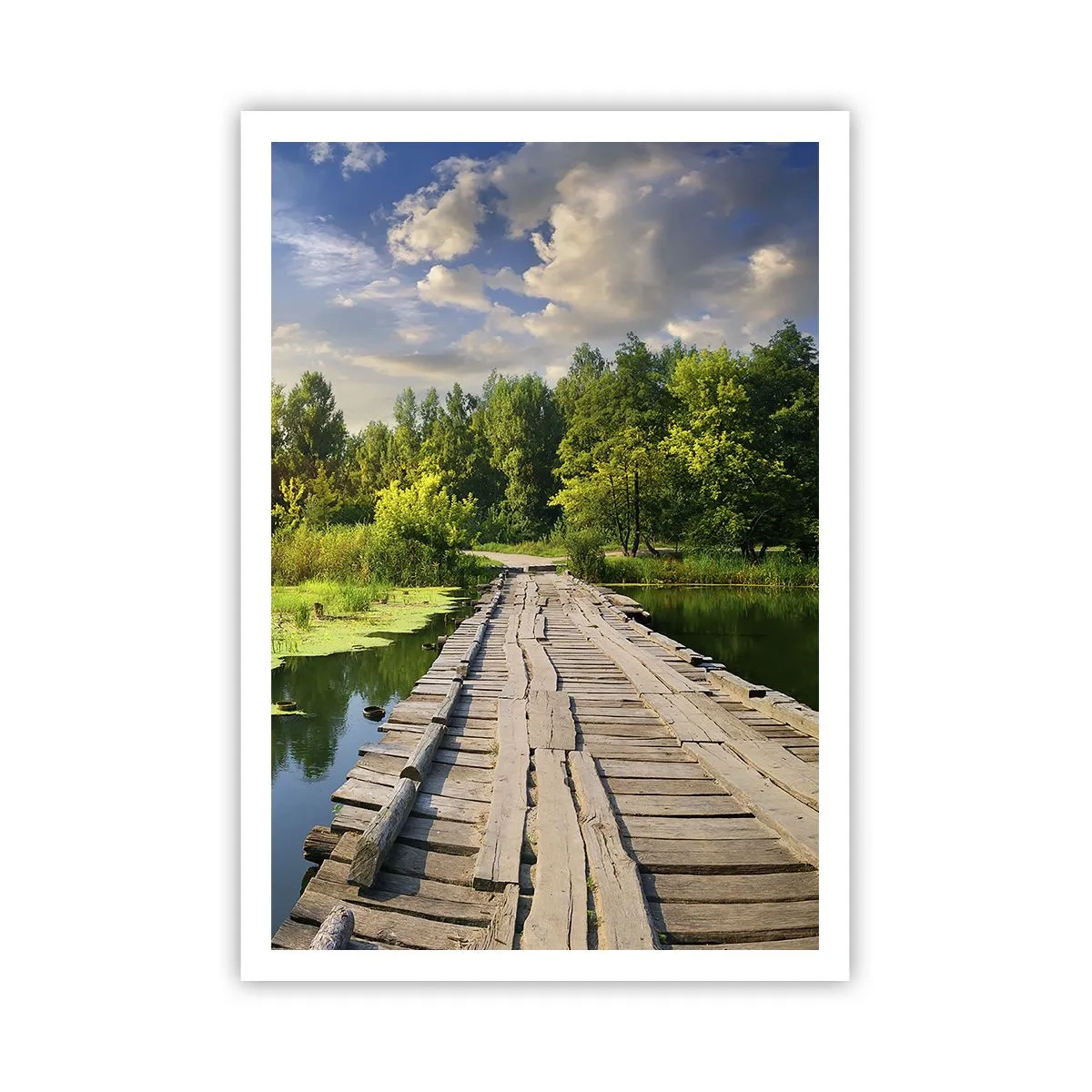 Plakat - Sommer, sommer overalt - 70x100 cm