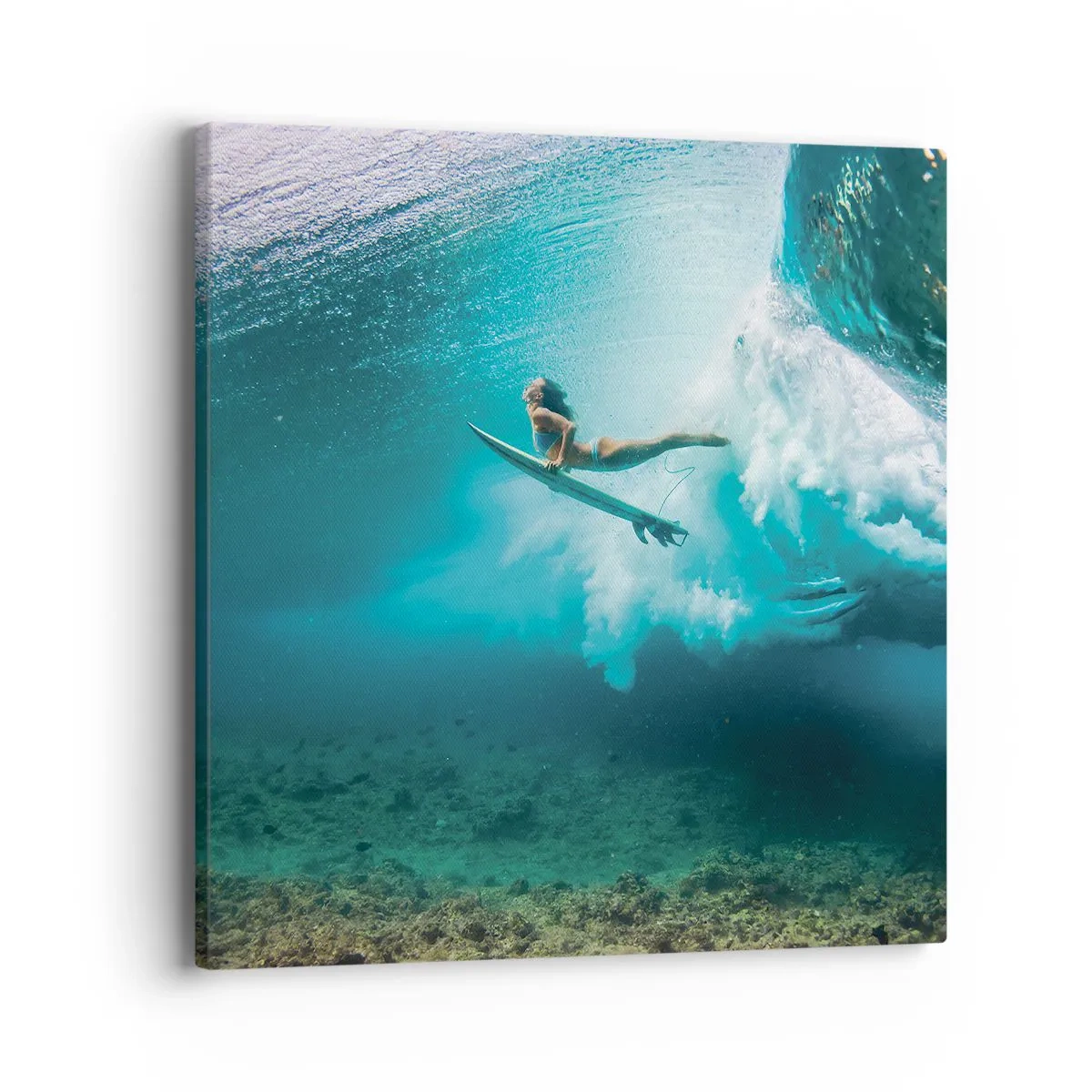 Lærredstryk - Billede på lærred - Undervandsverden - 40x40 cm