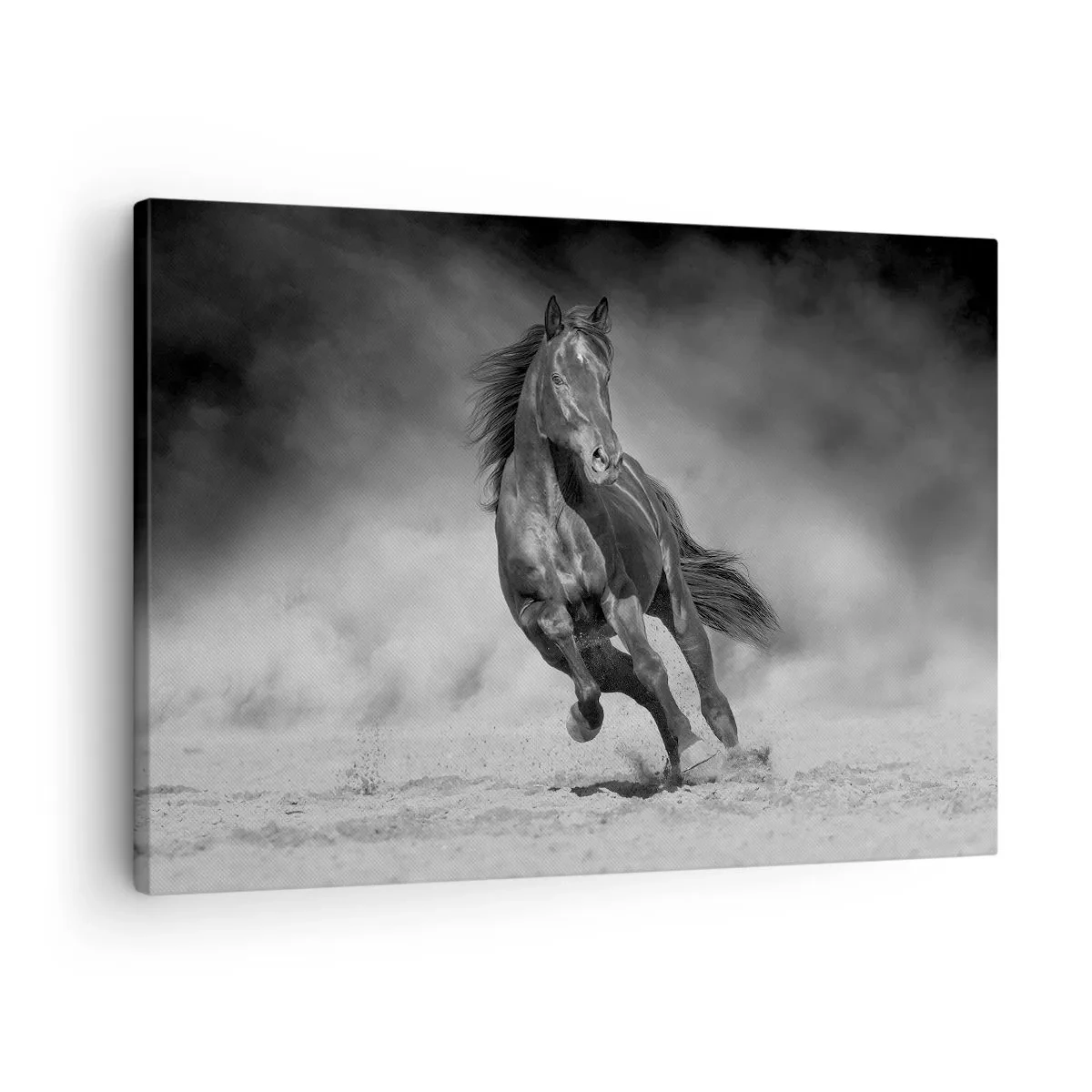 Lærredstryk - Billede på lærred - En sort og hvid hest galoperer hen over sandet - 70x50cm - Værdig til emiren selv - Moderne vægdekoration til stue og soveværelse ARTTOR