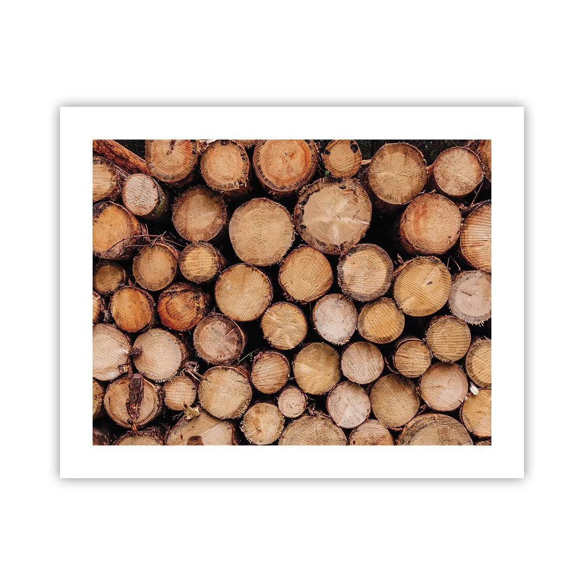 Plakat - En ny begyndelse - 50x40 cm