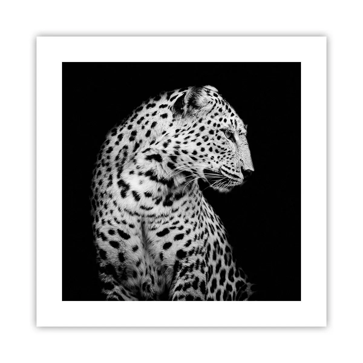 Plakat - Den rigtige profil er perfekt! - 40x40 cm