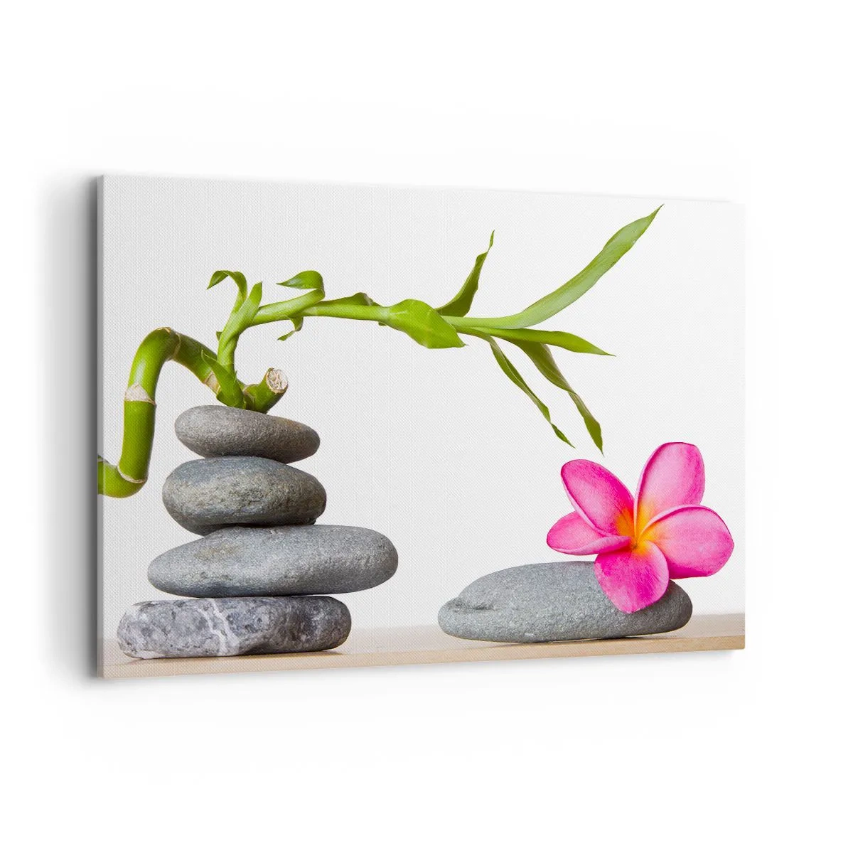 Lærredstryk - Billede på lærred - Livets og varighedens farver - 120x80 cm