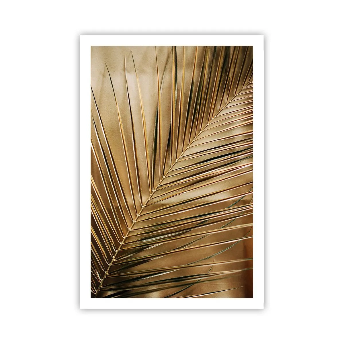 Plakat - Naturlig kolonnade - 61x91 cm