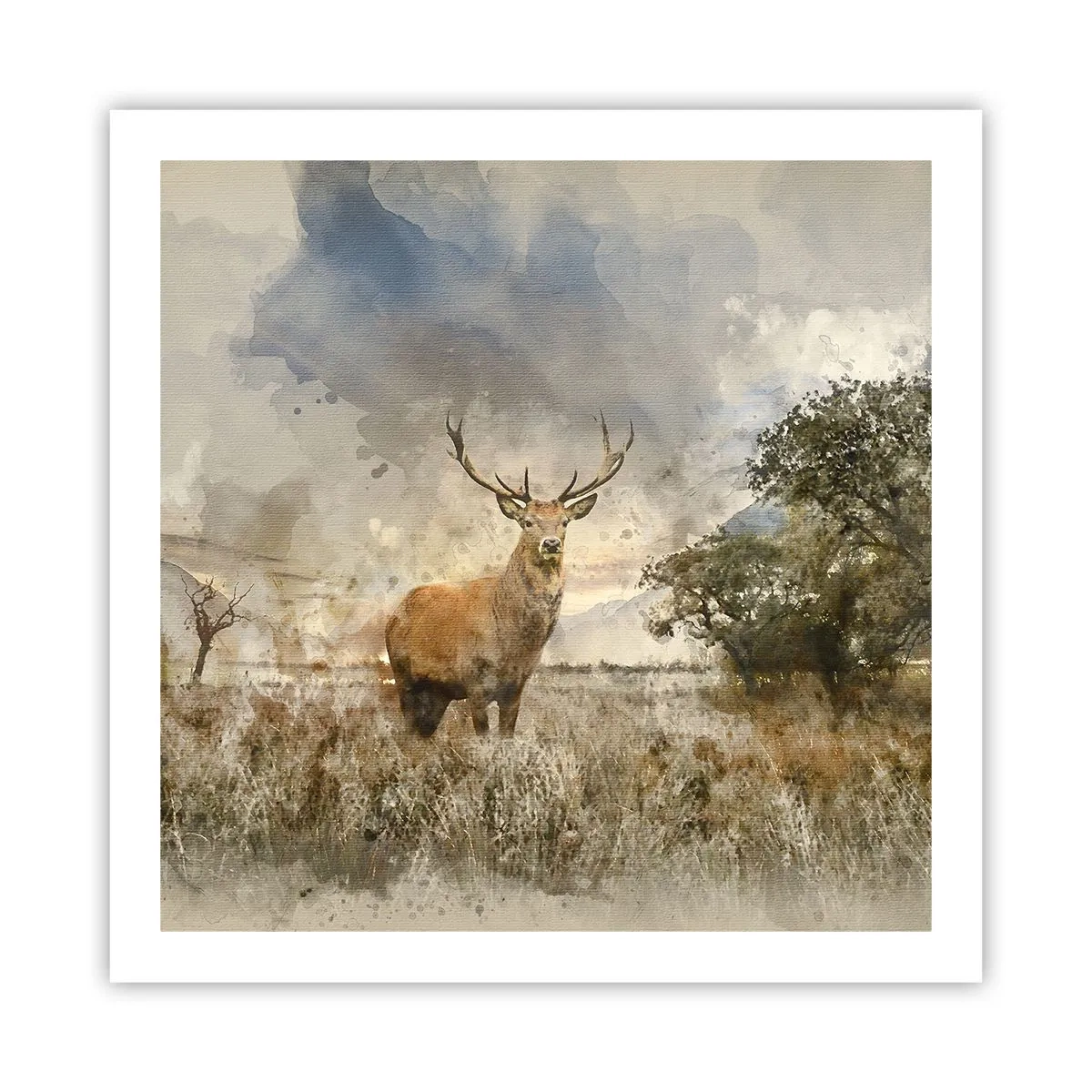Plakat - Værdighed - styrke - værdighed - 60x60 cm