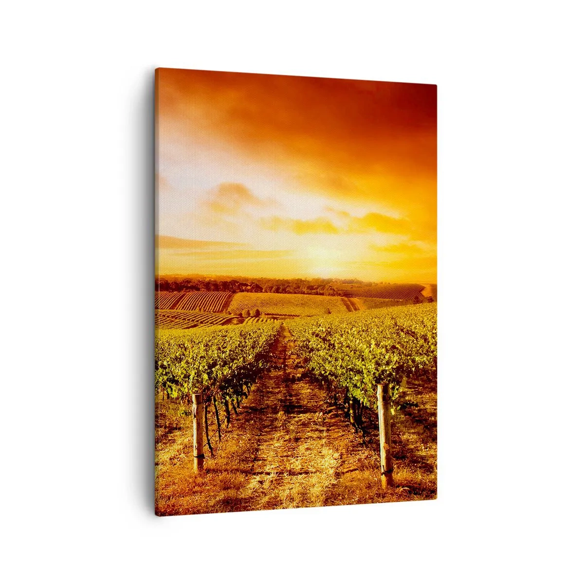Lærredstryk - Billede på lærred - Delikat frugtagtig med et strejf af solskin - 50x70 cm