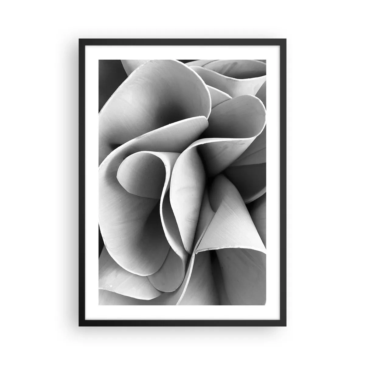 Plakat i sort ramme - Abstrakte kronblade i grå nuancer - 50x70cm - Hvad der sker i rummet - Moderne vægdekoration til stue og soveværelse ARTTOR
