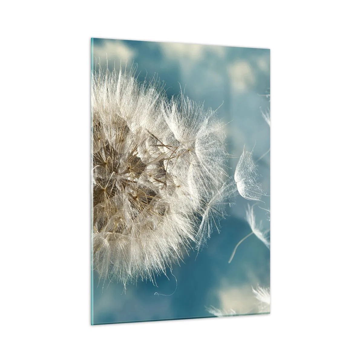 Billede på glas - En engels åndedræt - 50x70 cm