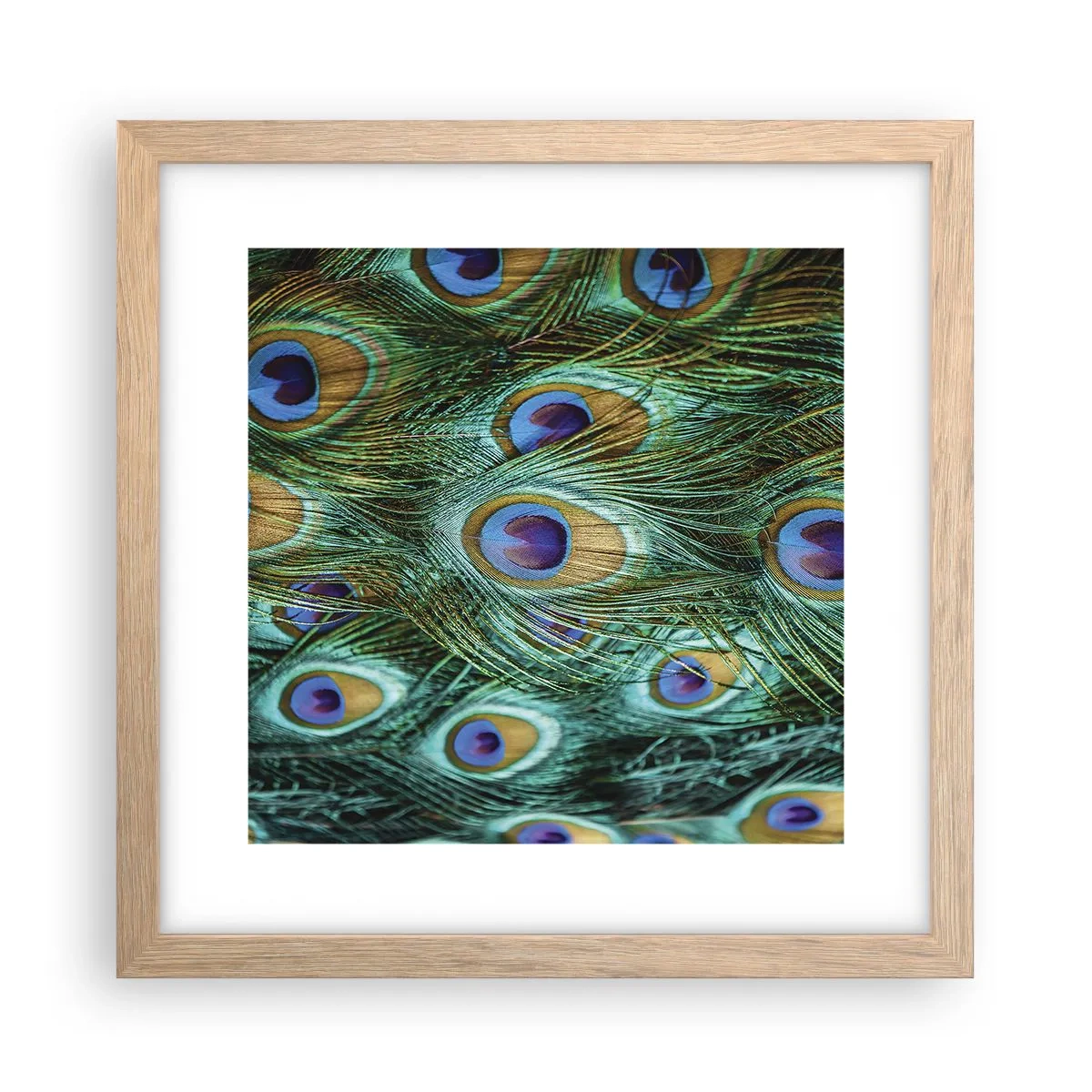 Plakat i ramme af lyst egetræ - En påfugls blik - 30x30 cm