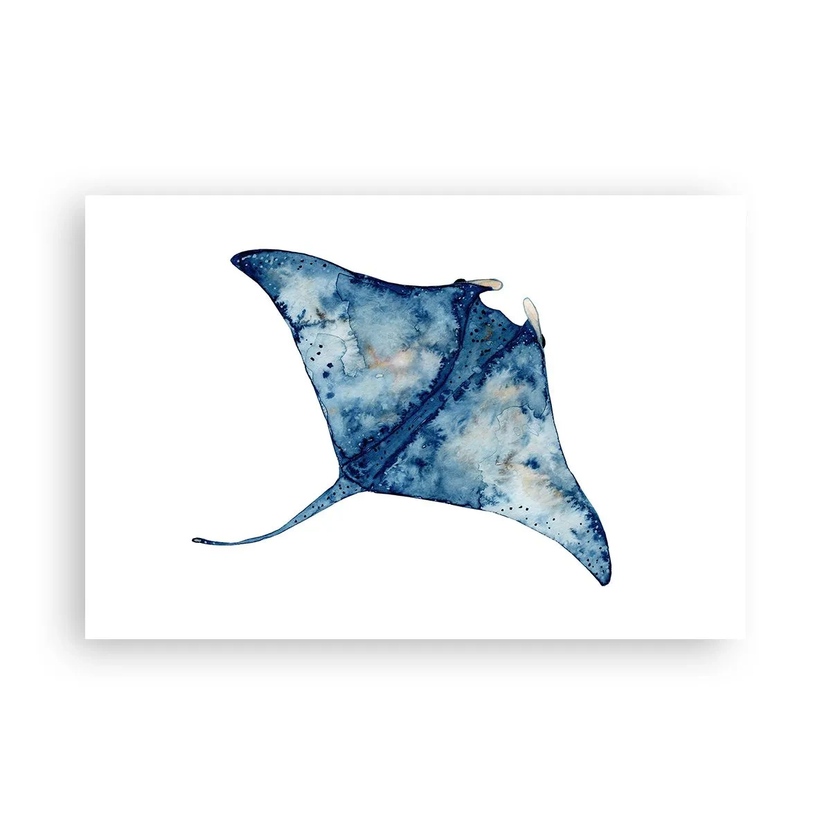 Plakat - Liv i blåt - 91x61 cm