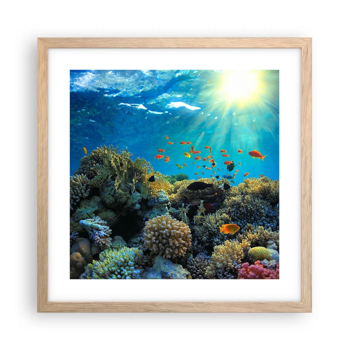 Plakat i ramme af lyst egetræ - Undervandsskatte - 40x40 cm