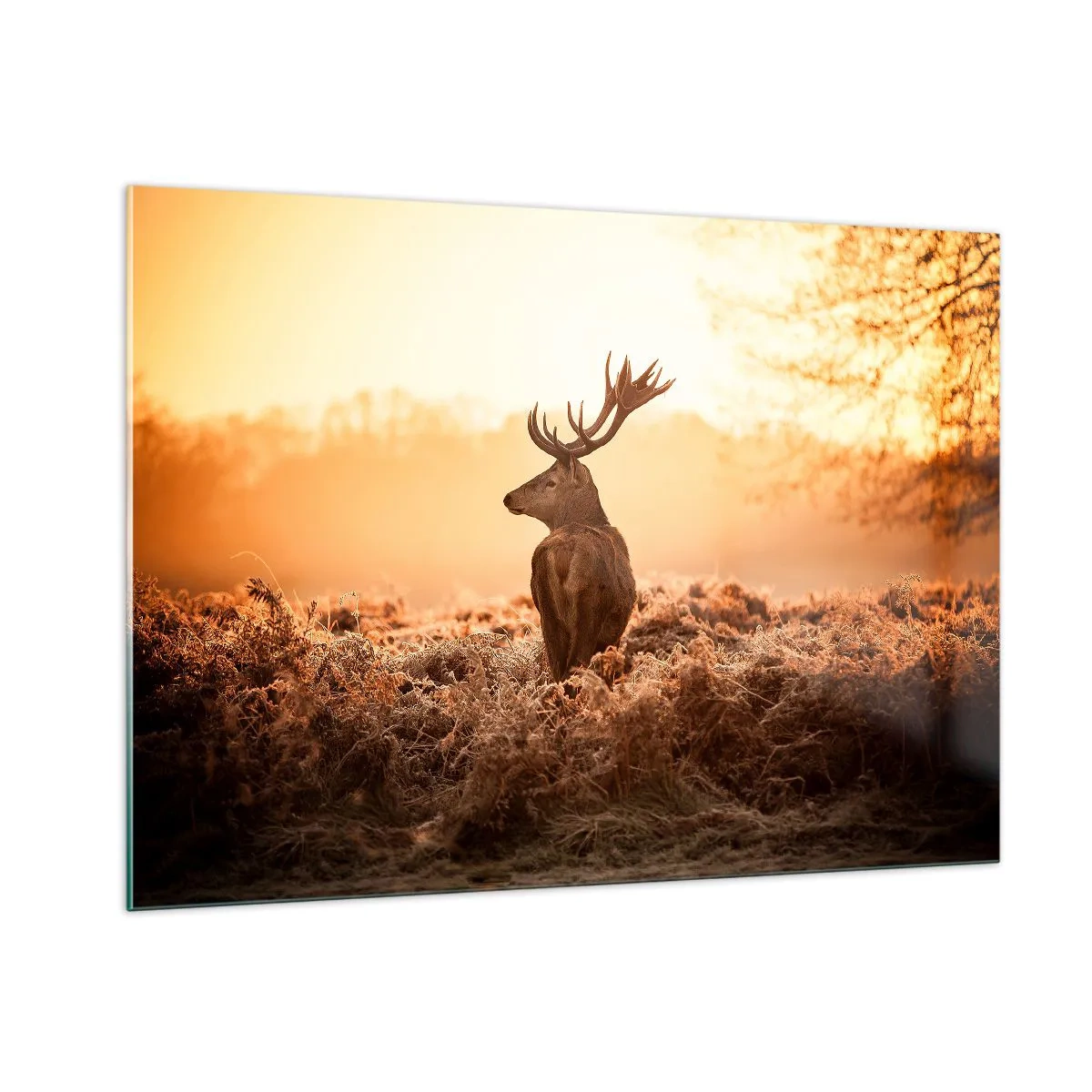 Billede på glas - Herre på godset - 100x70 cm