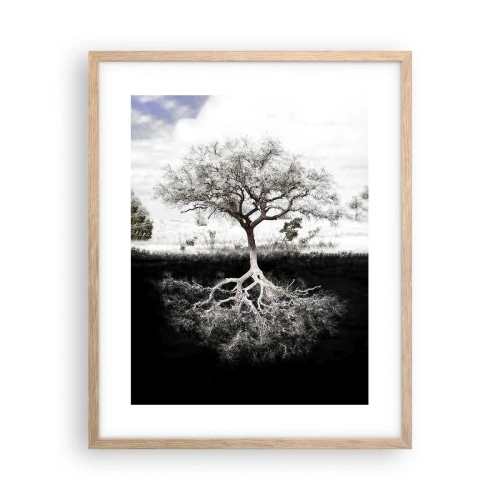 Plakat i ramme af lyst egetræ - Opdagelse af verdens natur - 40x50 cm