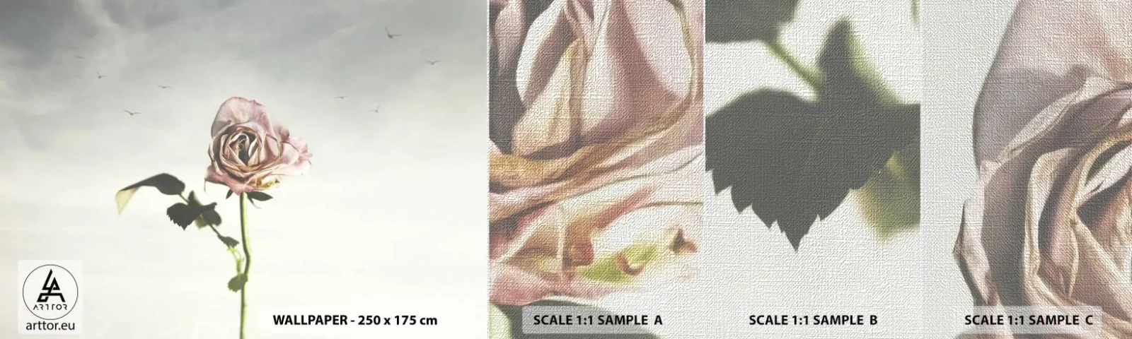 Prøve Fototapet Premium Canvas - Velkomst til foråret - Rose, Blomst, Stykke - 100x30 cm