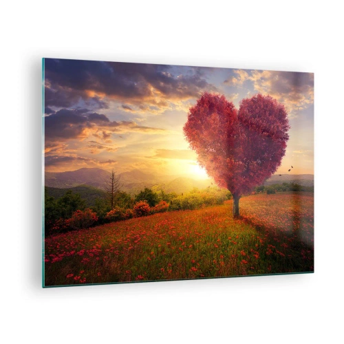 Billede på glas - Et hjerteformet træ i en mark ved solnedgang - 70x50cm - Det griber om hjertet - Moderne vægdekoration til stue og soveværelse ARTTOR