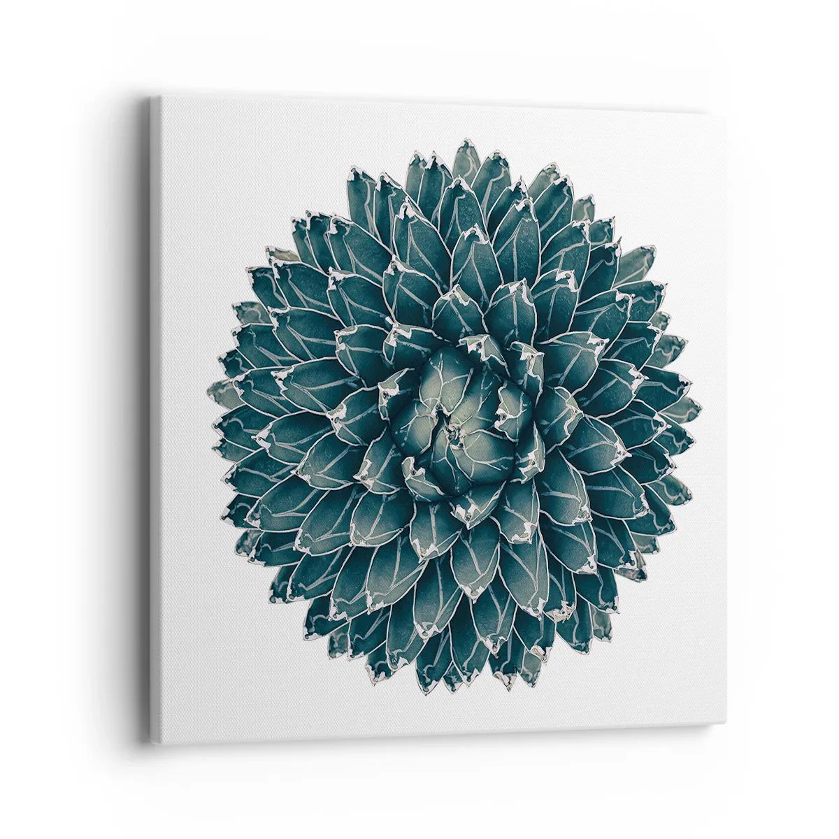 Lærredstryk - Billede på lærred - Ørkenstjerne - 40x40 cm