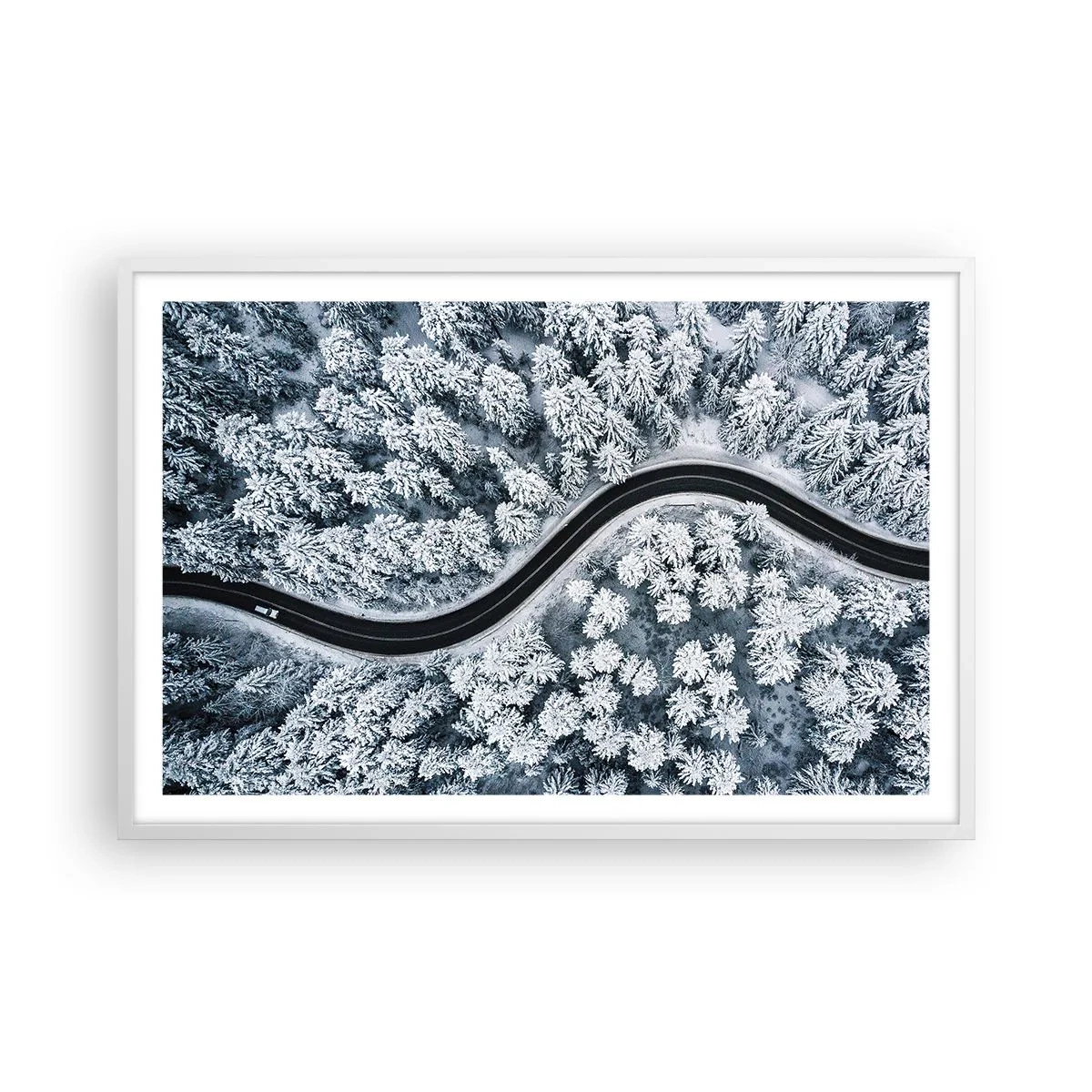 Plakat i hvid ramme - Gennem en vinterskov - 91x61 cm