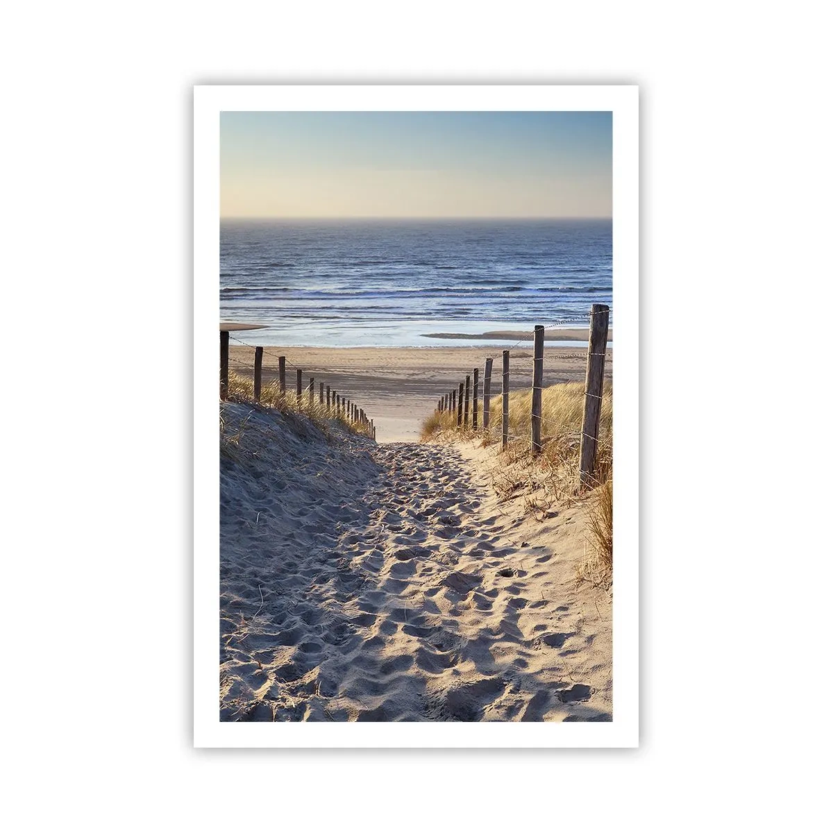 Plakat - Havet brummer, fuglene synger, en vild strand midt i græsset.... - 61x91 cm