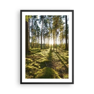 Plakat i sort ramme - Grøn skov om morgenen med strålerne fra den opgående sol - 50x70cm - ...Bag de syv skove - Moderne vægdekoration til stue og soveværelse ARTTOR