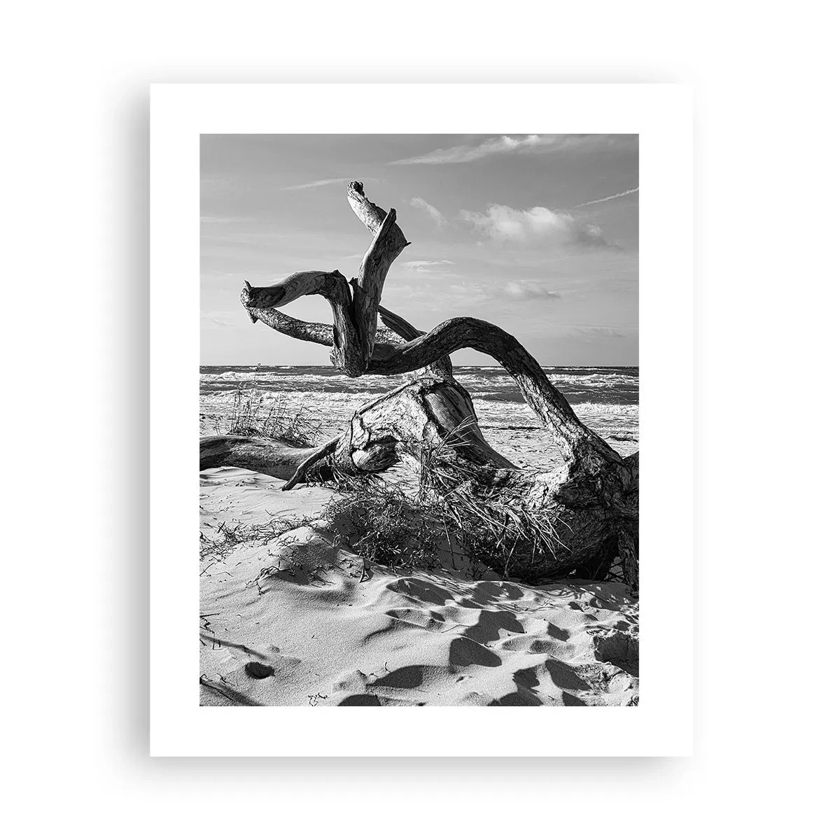 Plakat - Havets skulptur - 40x50 cm