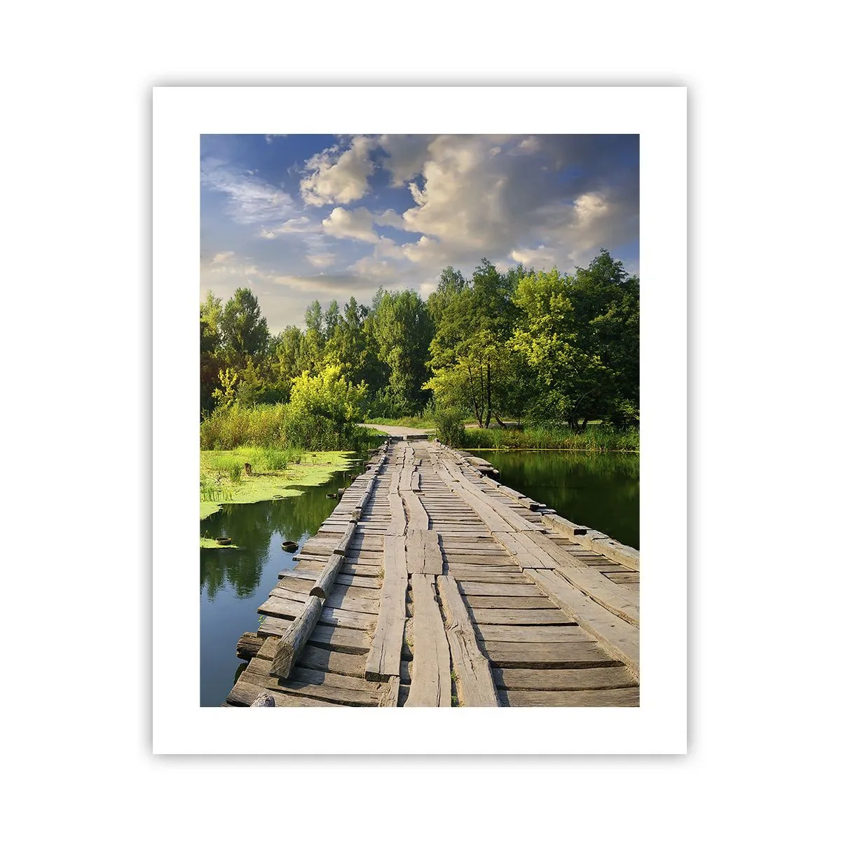 Plakat - Sommer, sommer overalt - 40x50 cm