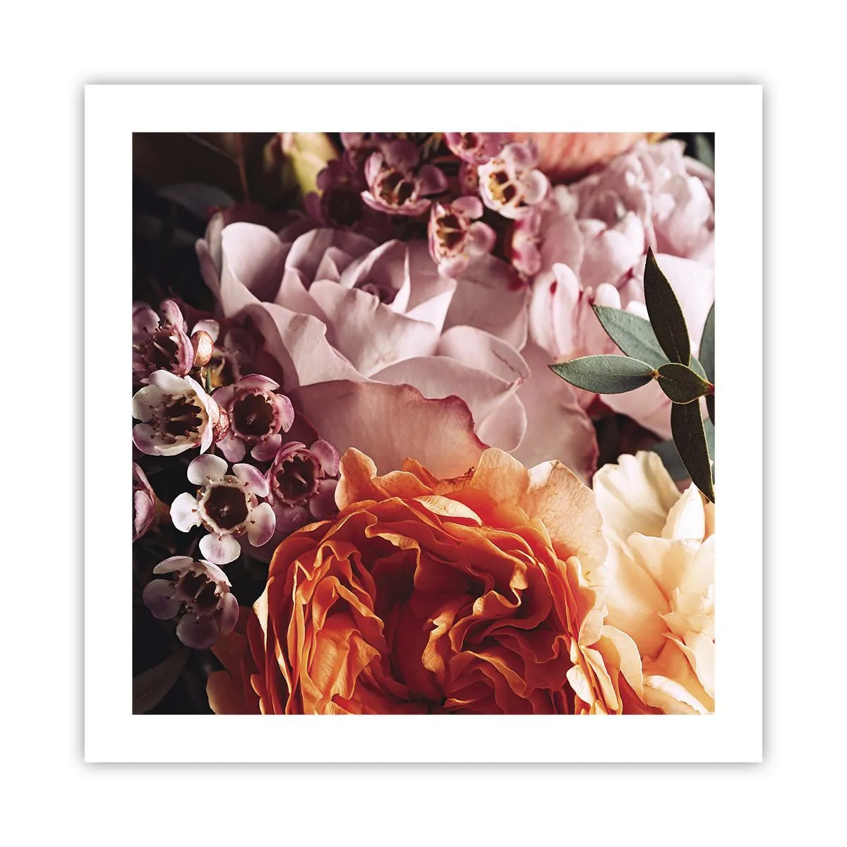 Plakat - Indhyllet i skønhed - 50x50 cm