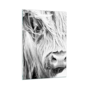 Billede på glas - Skotsk vildmark - 50x70 cm