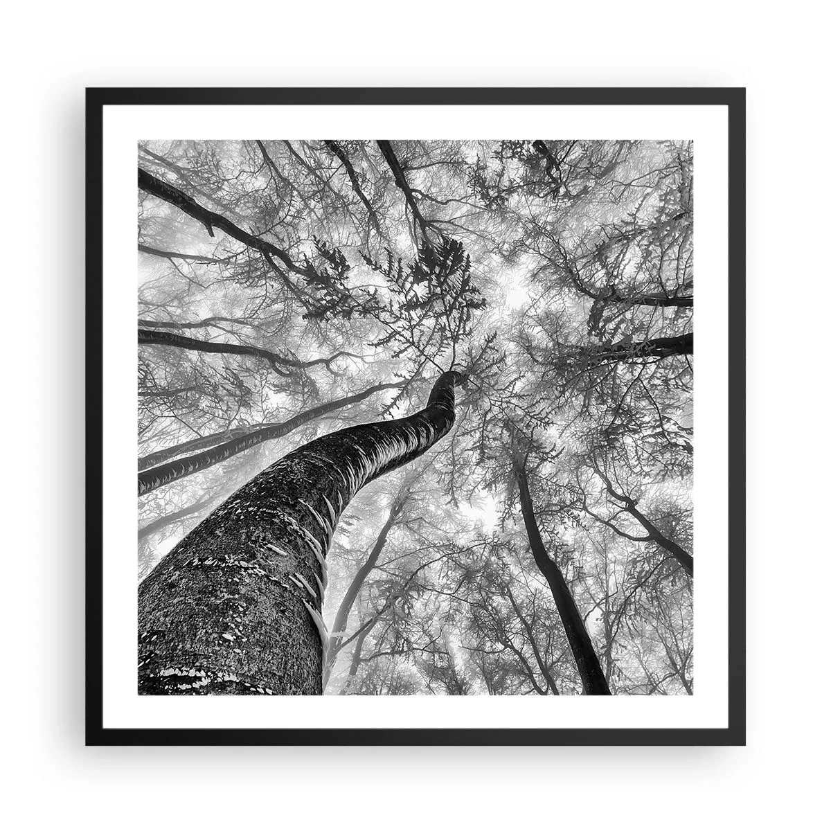 Plakat i sort ramme - Kapløb mod lyset - 60x60 cm