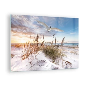 Billede på glas - En fugl, der flyver over klitterne ved solnedgang - 70x50cm - Vind fra havet - Moderne vægdekoration til stue og soveværelse ARTTOR