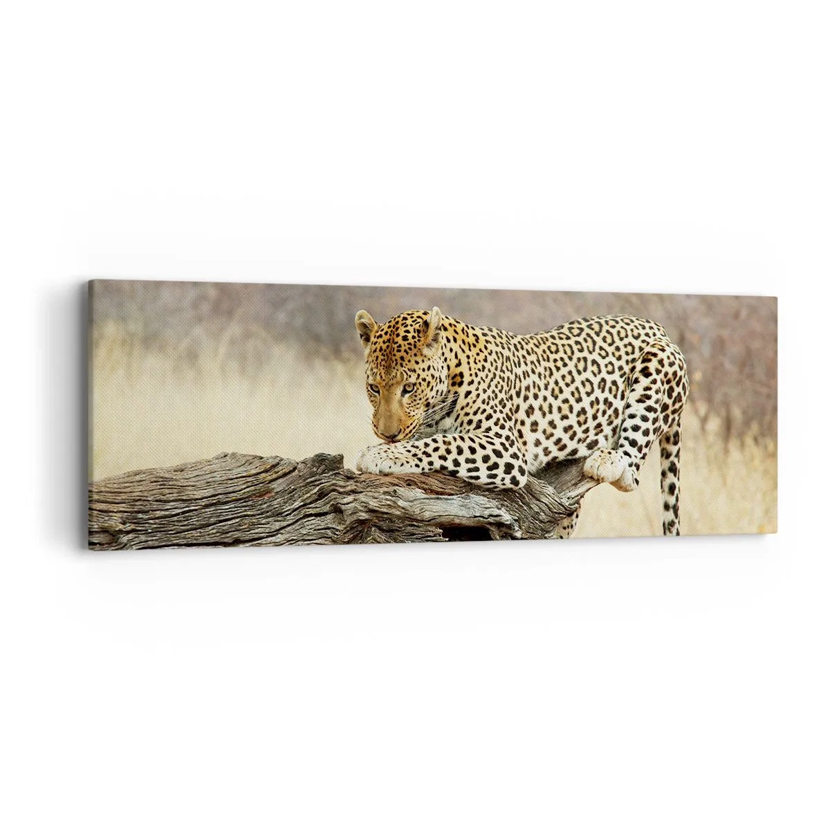 Lærredstryk - Billede på lærred - Jeg går min egen vej - 90x30 cm