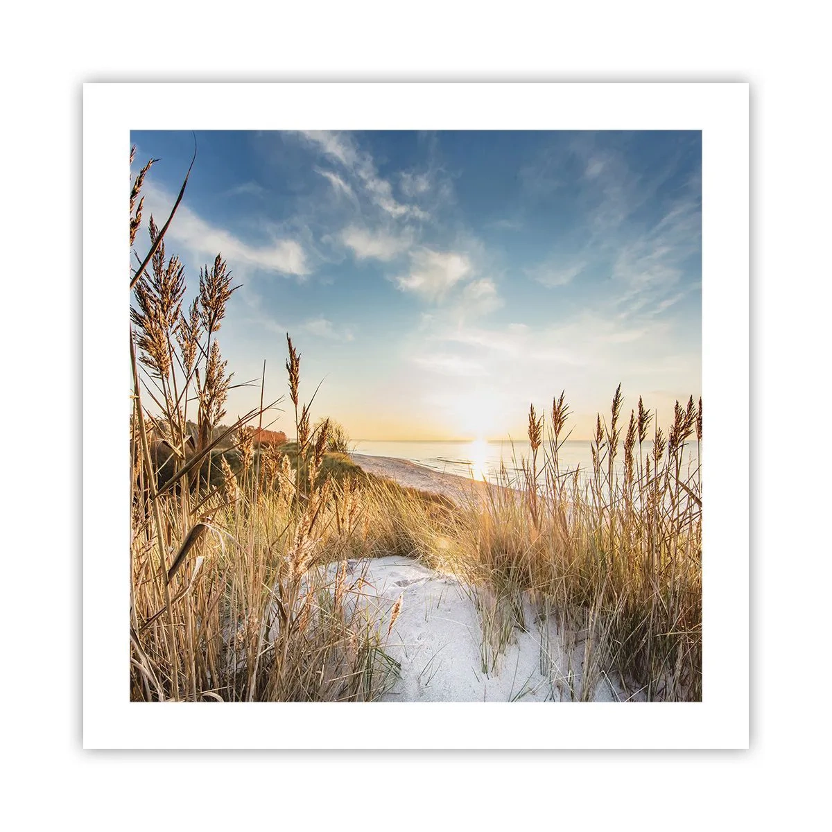 Plakat - Nordstrand - 50x50 cm