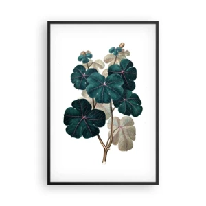 Plakat i sort ramme - Fra et gammelt herbarium - 61x91 cm