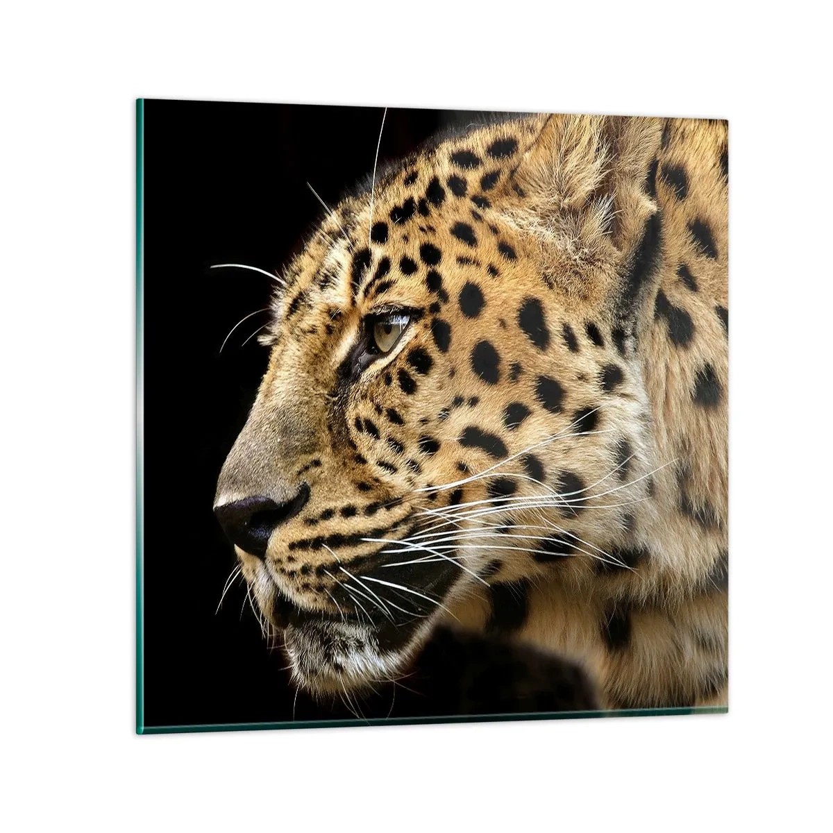 Billede på glas - Rolig, fokuseret, klar - 70x70 cm