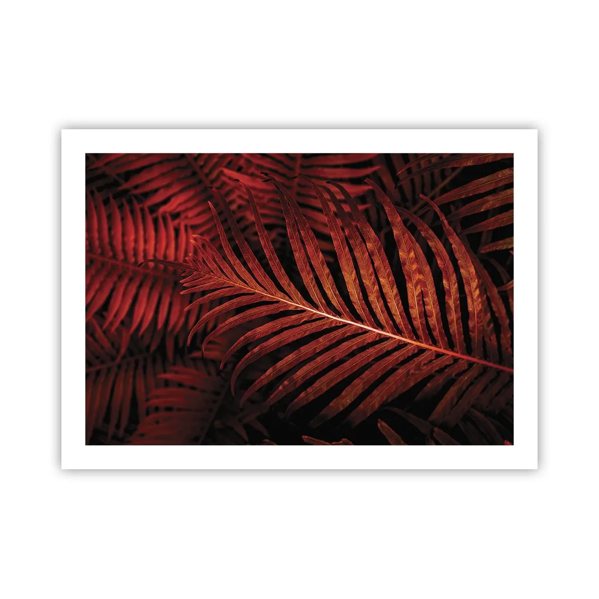 Plakat - Livets varme - 70x50 cm
