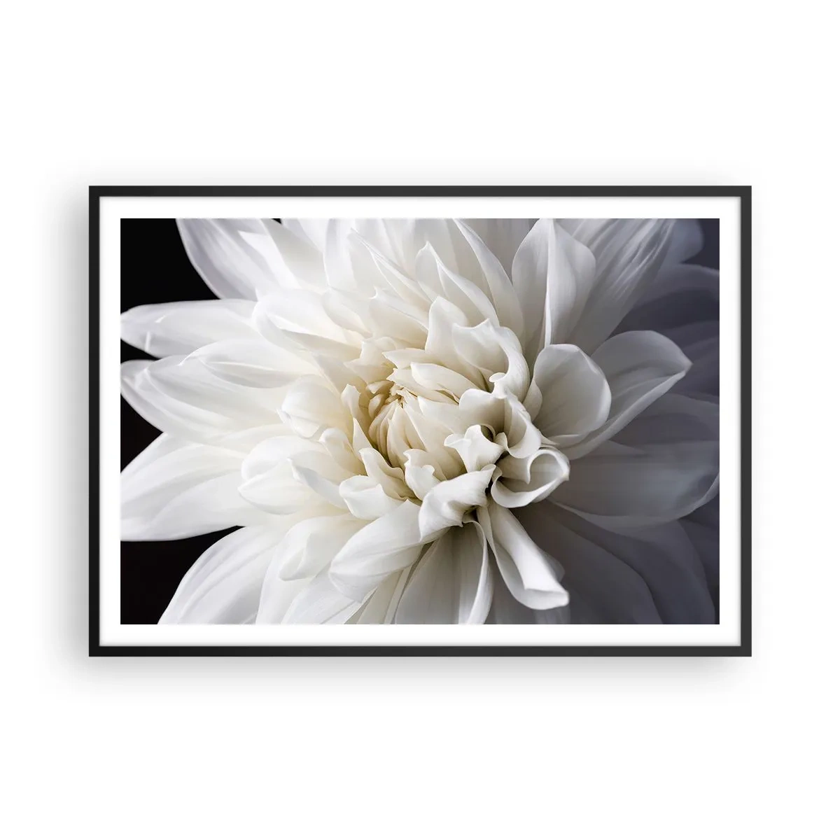 Plakat i sort ramme - Morgenbrud - 100x70 cm