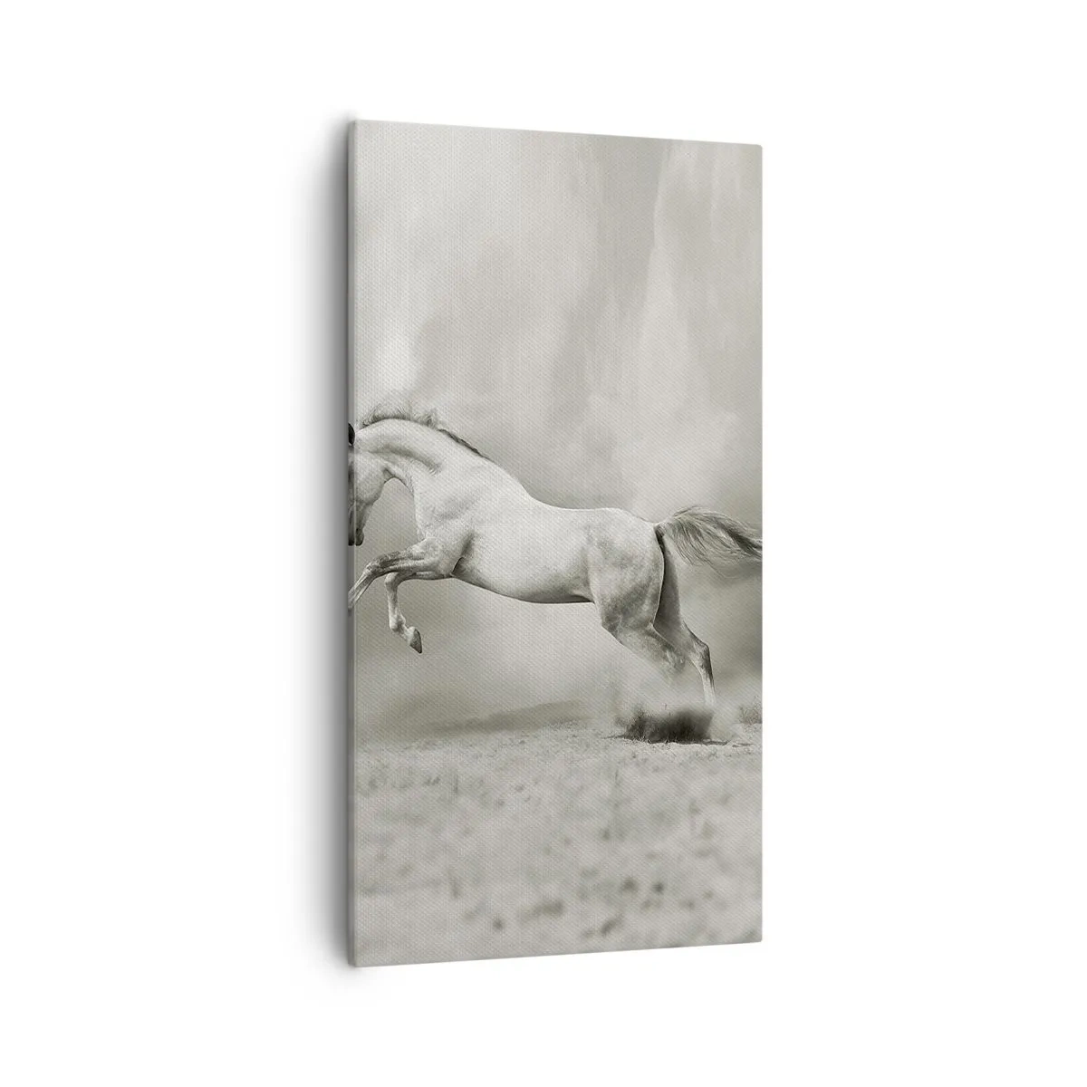 Lærredstryk - Billede på lærred - Mellem vågenhed og drømme - 55x100 cm