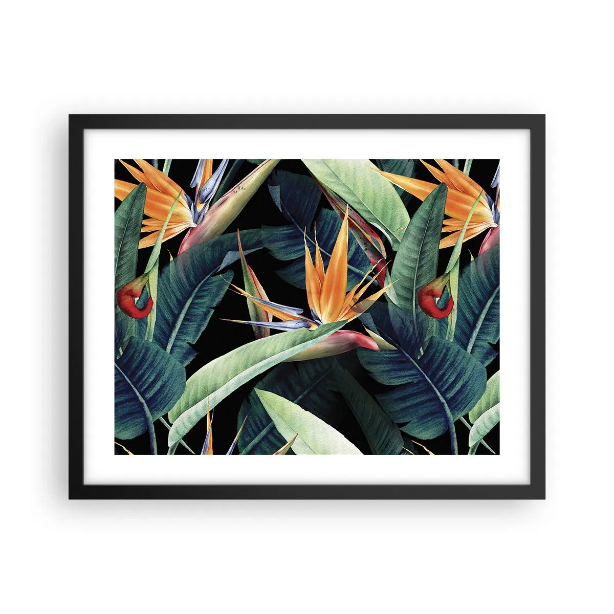 Plakat i sort ramme - Flammeblomster i troperne - 50x40 cm