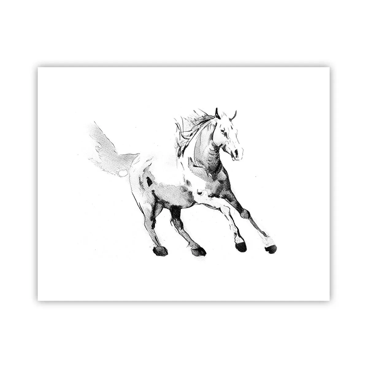 Plakat - Utæmmet sjæl - 50x40 cm